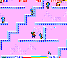 泰迪男孩布鲁斯