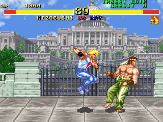 格斗列传 (美版 版本42-06, DE-0395-1 PCB)（有金手指）