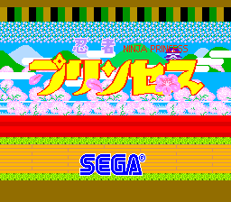 忍者公主 (315-5051,64k 版本 盗版?)（有金手指）