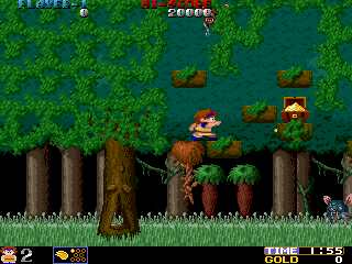 瓦德纳森林 (美版)