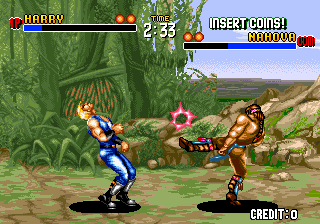 苏婆诃格斗 - 大鸥体道 (第一套)（有金手指）