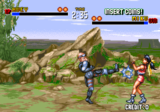 苏婆诃格斗 - 大鸥体道 (2/3 按键版)