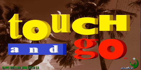 触扣沙滩排球 (世界版, 校验码059D0235)